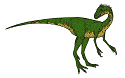 Coelurus
