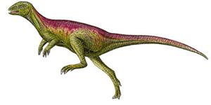 dinosaur picture echinodon