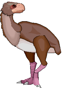 Gastornis
