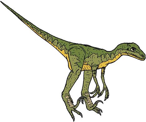 dinosaur picture dromaeosaurus