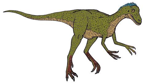 dinosaur picture eotyrannus