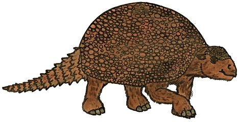 Glyptodont