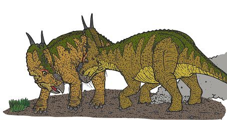 Pachyrhinosaurus picture 1