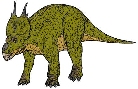 Pachyrhinosaurus picture 2
