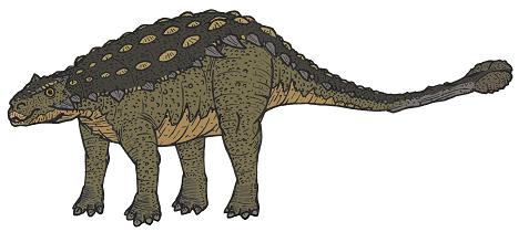 dinosaur picture tarchia