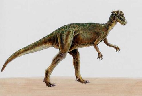 Pachycephalosaurus picture 2